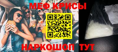 СК Бердск
