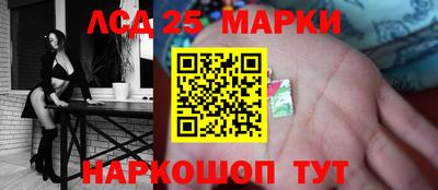 СК Бердск