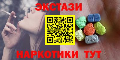 СК Бердск