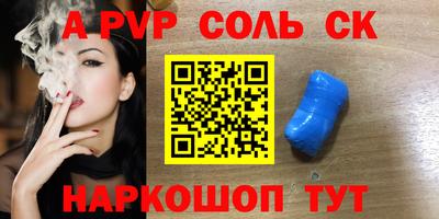 СК Бердск