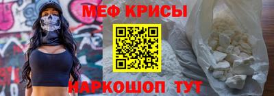 СК Бердск