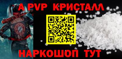СК Бердск