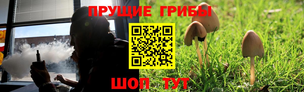 Псилоцибиновые грибы Magic Shrooms Алейск